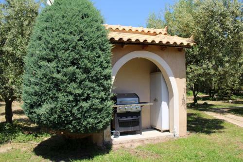 Vassia 1