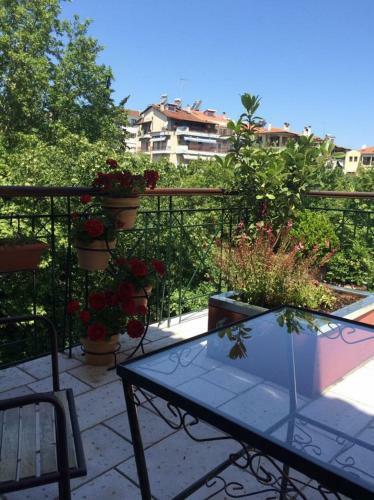 Hostal The House By The River Luxury Villa