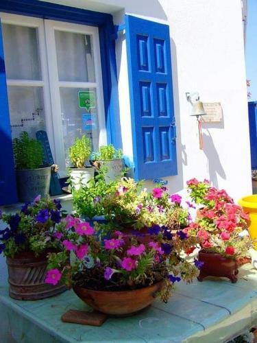Apartamento Villa Costa Studios