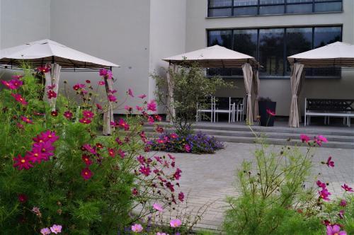 Hostal Auksin?s Kopos