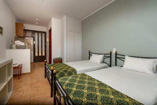 Apartamento Metsovo Studios