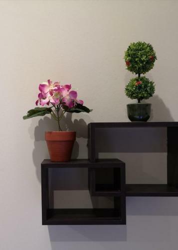 Apartamento ???? Studios