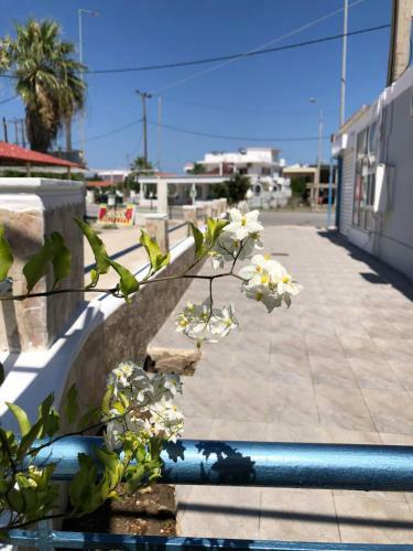 Apartamento Chrysanthi?s
