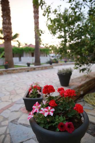 Margarita Hotel - All Inclusive