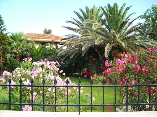 Apartamento Hara Studios