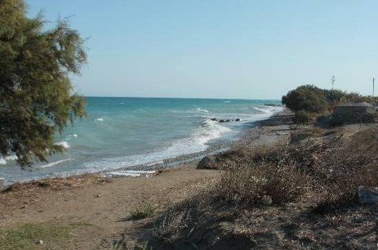 Hotel Asterias Bay-theologos
