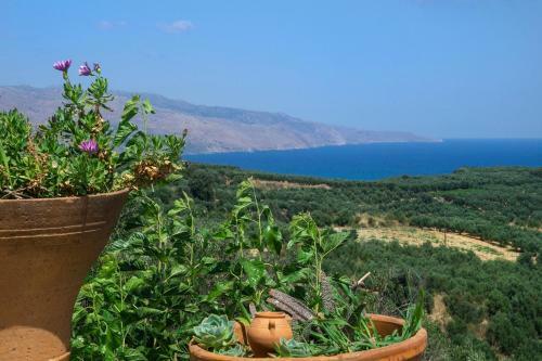 Villa Nature View
