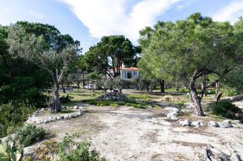 Filyra Private Beach Villa