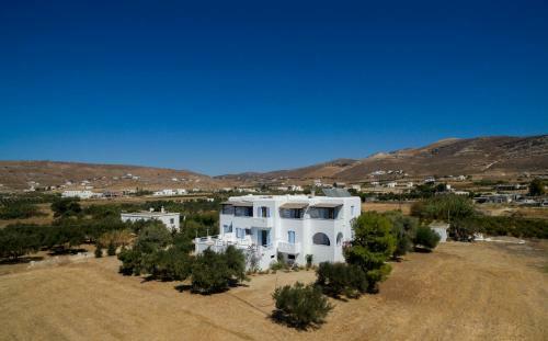 Bluefox Apartments