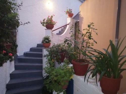 Hostal Irida Studios