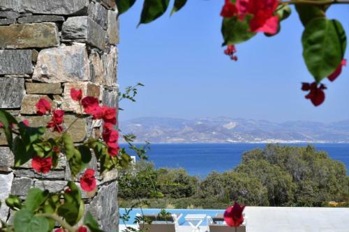 Hotel Blue Amaryllis Villas