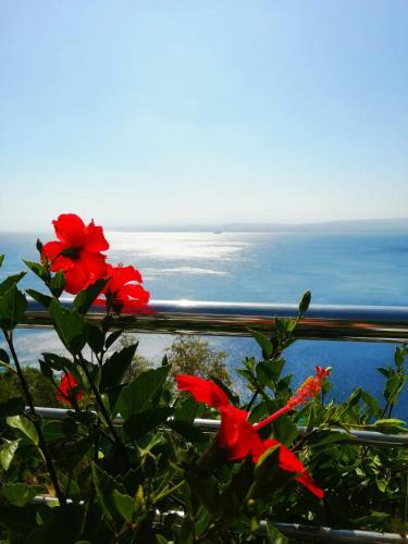 Apartamento Luxurious Brand New Flat With Private Beach