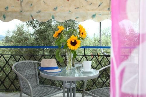 The Filoxenia Apartments, Nikiana