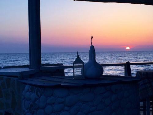 Seahorse Bay Beach Villa