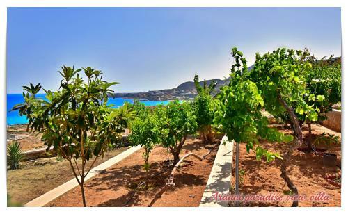 Ardani Paradise View Villa With Jacuzzi