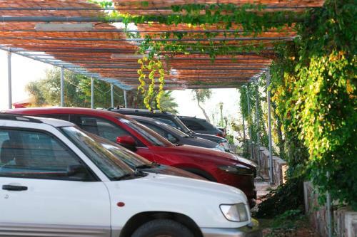 Aparthotel Samothraki Beach Apartments & Suites Hotel