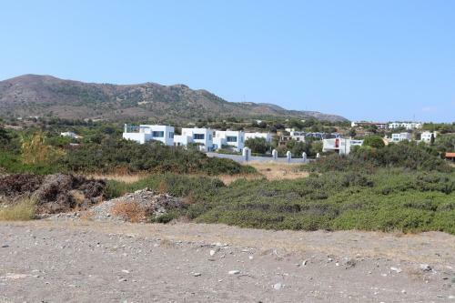 White Houses 1