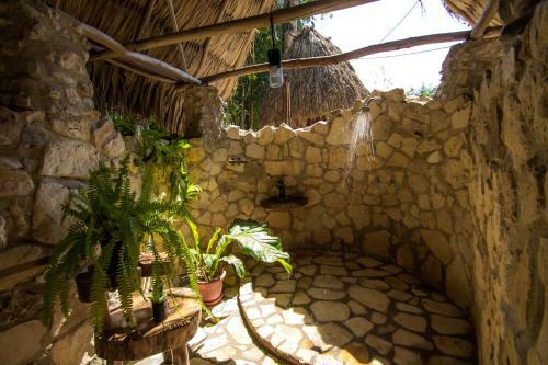 Hotel Alice Guesthouse