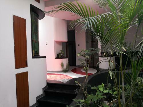 Bed & Breakfast Impecable And Modern Apt B, Distecon