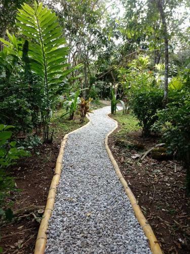 Agroturismo Bel�n Vivero Caf�
