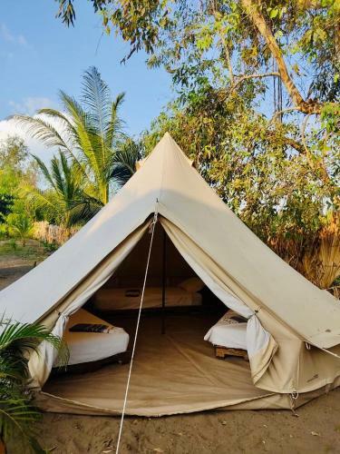 Mellow Hostel El Paredon
