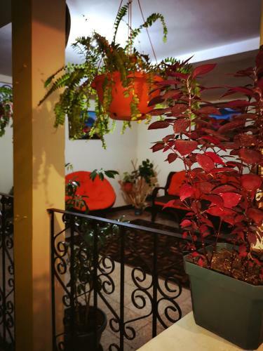 Hotel Paseo Hunahpu