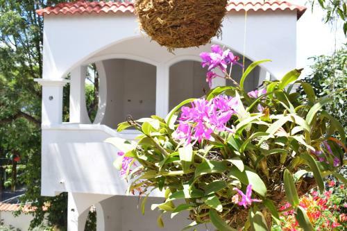 Pescador Hotel Ph