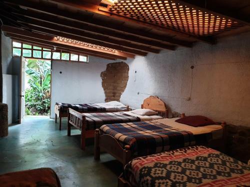 Hotel Mayan Casas
