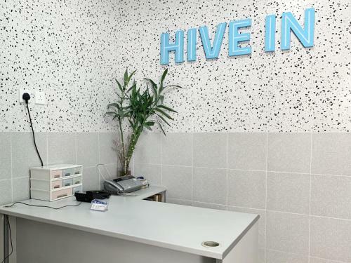 Hostal Hive In Hostel