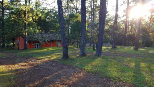 Hotel Caba�as Bosque Llano de La Virgen