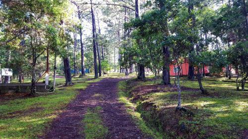 Hotel Caba�as Bosque Llano de La Virgen