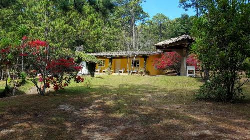 Hotel Caba�as Bosque Llano de La Virgen
