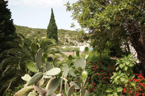 Holiday Home Vinka (139-2)