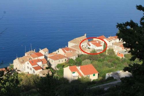 Apartments Zoki - Great Location