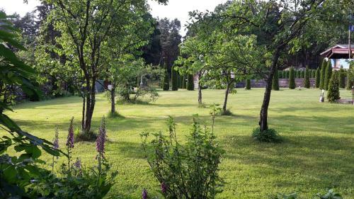 Forest Edge Lodge And House