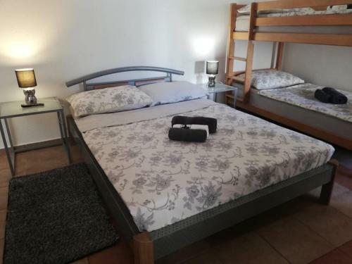Apartmani ?osi?