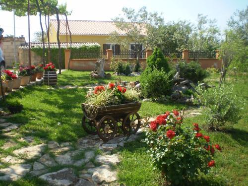 Apartments Segio 1803