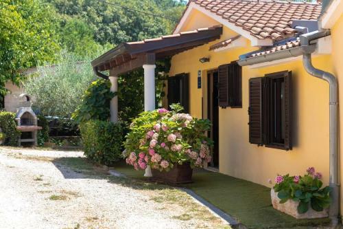 Apartamento Pelizzar