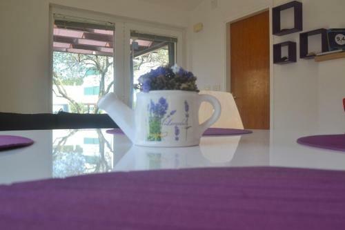 Purple Summer House - Zadar