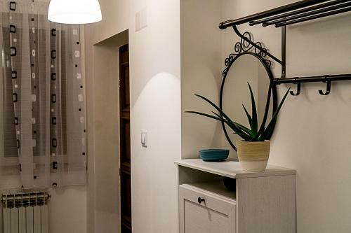 Apartamento Zavrsjeinn