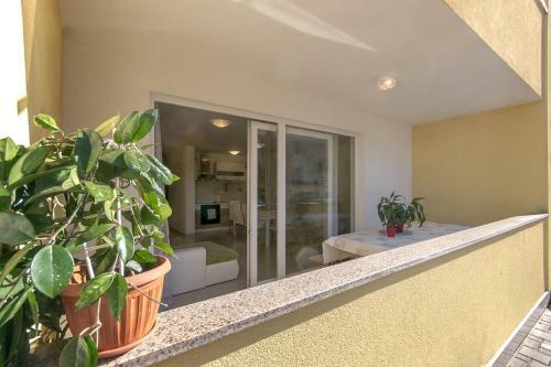 Apartment Zlatna