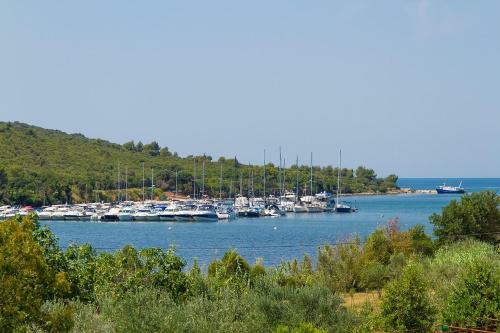 Hostal Apartments-anna