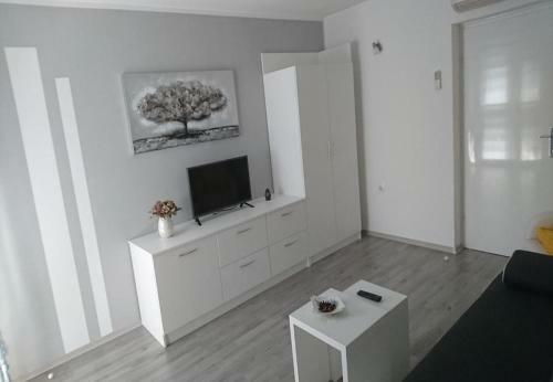Apartments Zdene-with Parking