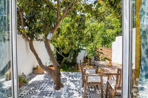 Beautiful Apartments With Balcony In Central Biograd - Bnm 2