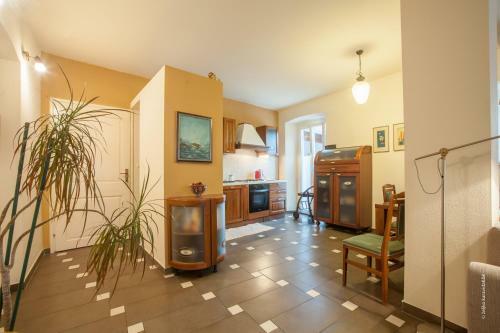 Apartment Nika