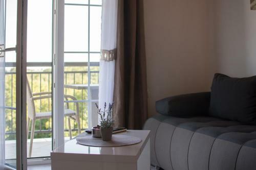 Hostal Lavanda House With Apartments