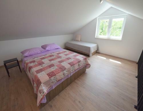 Apartments Medna