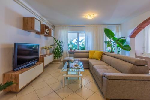 Apartamentos Ivy
