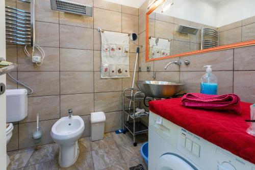 Apartment Tajana