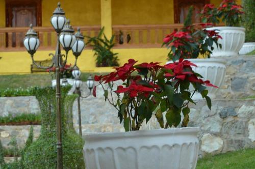 Nakaraj Princess Hotel